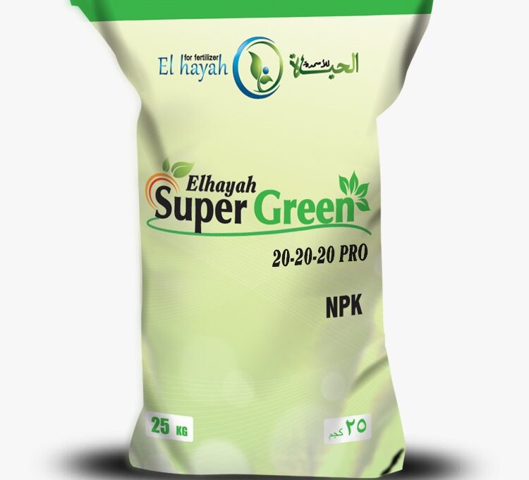 WhatsApp Image 2025-02-18 at 18.28.32_fbfcd6ec