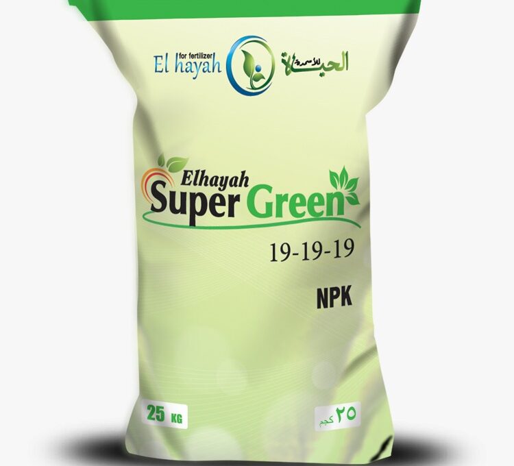 WhatsApp Image 2025-02-18 at 18.28.33_1d568508